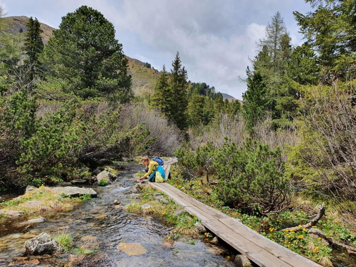 Sankt Johann am Tauern Grassegger Appartementhaus מראה חיצוני תמונה