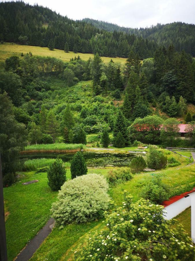 Sankt Johann am Tauern Grassegger Appartementhaus מראה חיצוני תמונה